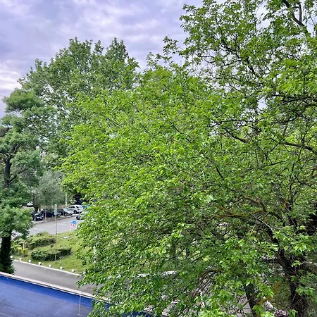 Apartment Excelsior Romantic 50m To The *
